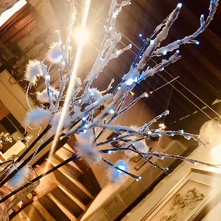 Wilson - Teritoria 3* 디종