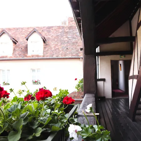 Wilson - Les Collectionneurs Dijon