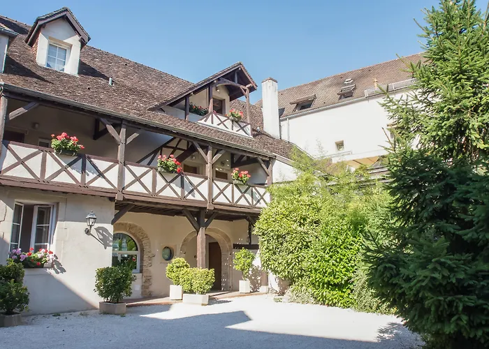 Wilson - Teritoria Dijon