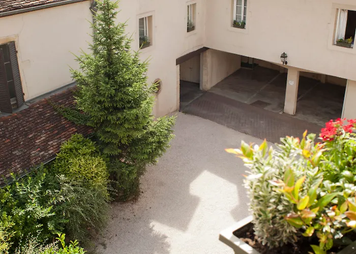 Wilson - Teritoria ディジョン