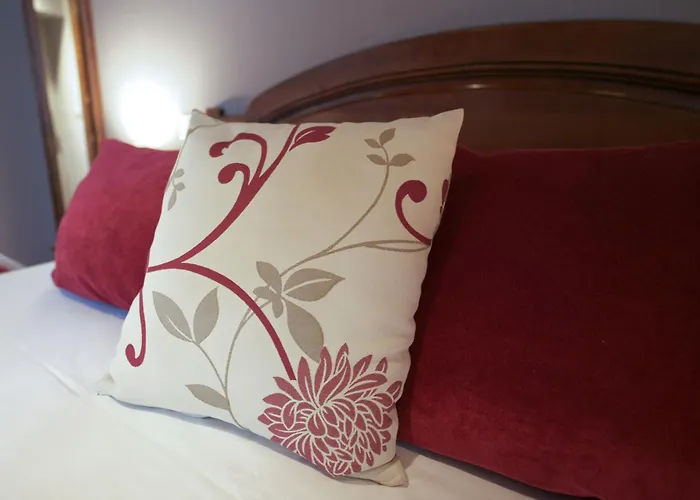 Hotel Wilson - Teritoria