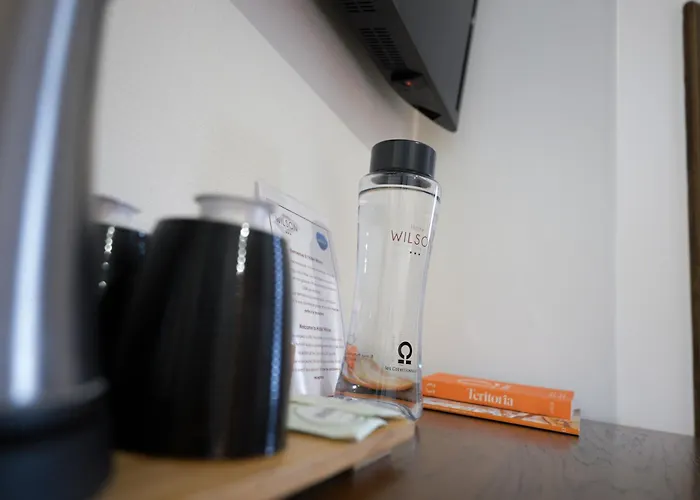 Wilson - Teritoria 3* Dijon