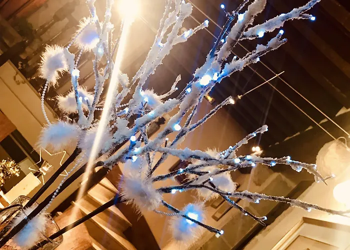 Wilson - Teritoria 3* ディジョン