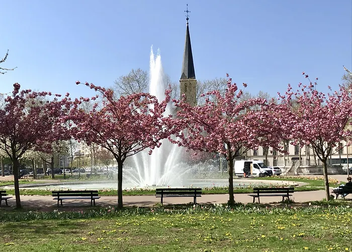 Hotel Wilson - Les Collectionneurs 3*