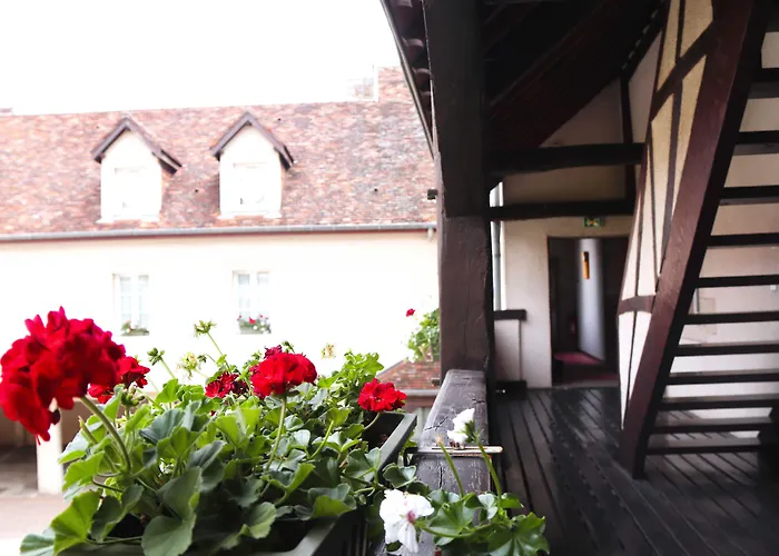 Wilson - Teritoria ディジョン